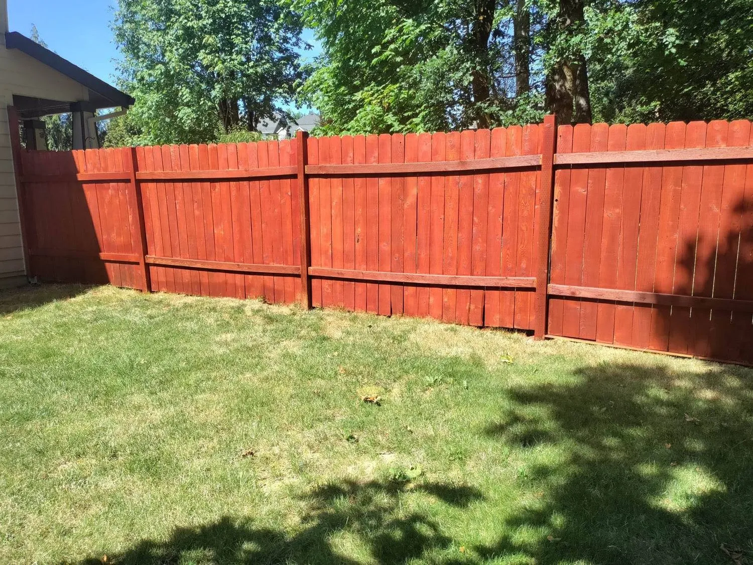 Cedar fence finished in a deep red stain